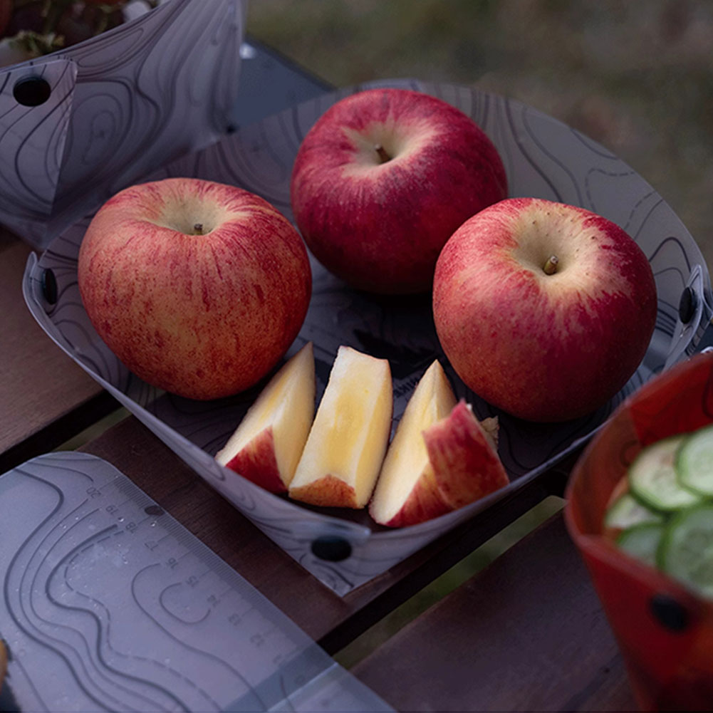 Vajilla Plegable Ligera para E - Camping Cooking Plate reseña y precio