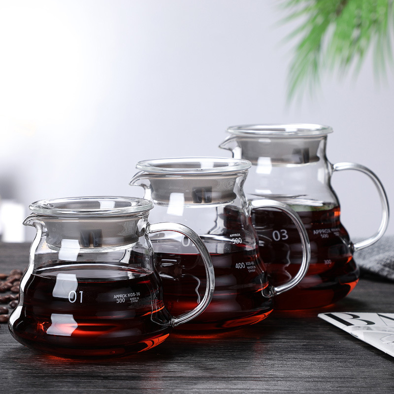 Juego de cafetera de vidrio de - Camping Cooking Gear reseña y precio